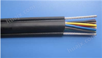 RVV1G，RVV2G自承式钢索特种电缆