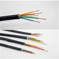 国标额定电压450V/750V耐火电子计算机电缆