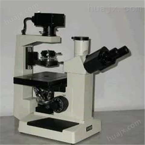 倒置生物显微镜